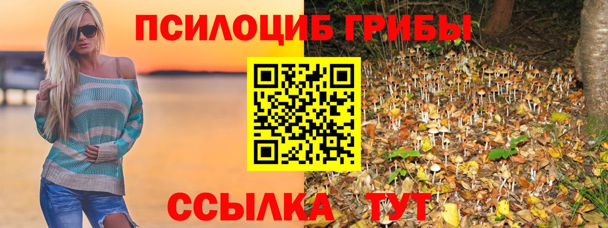 Галлюциногенные грибы Psilocybe  Галлюциногенные грибы GOLDEN TEACHER  Сибай  Вход с VPN 